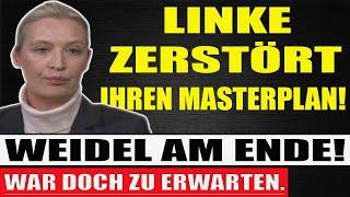 Alice Weidel AM ENDE! Linke lehnt gemeinsamen Antrag mit AfD ab!