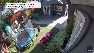 Surveillance Video: Coyote Comes Face-To-Face With Child