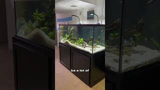 Controlling Humidity in a Fish Room