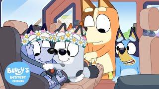 Funniest Moments of Bluey's Friends from Every Season  | Bluey's Bestest Friends - Official Channel