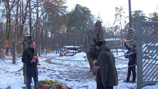 Gute Nachrichten für den Tierpark in Cottbus