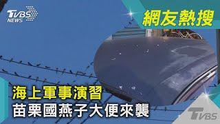 海上軍事演習 苗栗國燕子大便來襲｜TVBS新聞