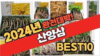 2024 가성비 산양삼 추천 Best10 중에 고르면 끝!