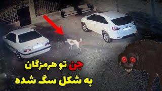 این جن عفریت توی علفزار دیده شده  کیوان ساتورن وحشت کرد از دیدنش