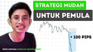 Strategi trading simple : Teknik mendapatkan 100 pips perhari