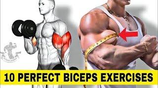 Build Biceps Fastest using Dumbbell Only (Effective Exercise) ​⁠- Unseen Fitness Vision