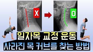 [일자목 특집] 사라진 목 커브를 찾아드립니다!