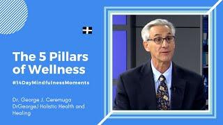 The 5 Pillars of Wellness | Holistic Health and Healing Dr. George Ceremuga