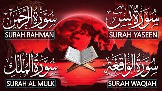 Surah Yaseen (Yasin) | Surah Rahman | Surah Waqiah | Surah Mulk | Beautiful Quran Recitation - 27