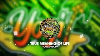 Yogi - True Meaning Of Life (Audio) feat. Wass Hannin