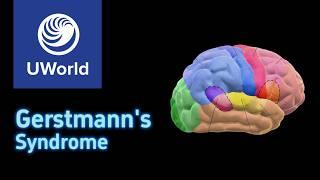 Gerstmann's Syndrome - USMLE UWorld Question, Nervous System, USMLE Step 1 Review