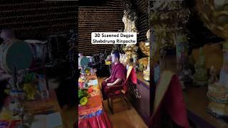 3D scanning in a Taiwan Buddhist temple #puja #buddhist #rinpoche #buddhisttemple