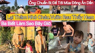 #574] Ông Nội Chồng Nhỏ Cháu Trồng Rau Dự Trữ Ăn.Chồng Trung Nghĩ Phụ Ông Nội Tất Bật Trồng Đất Mới