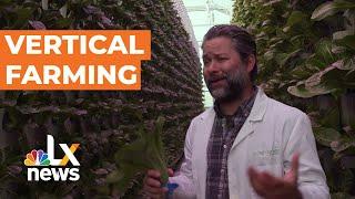 Vertical Farming is Revolutionizing Agriculture | LX News