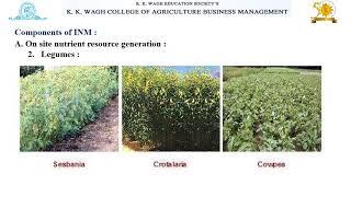 Integrated Nutrient Management and Its Components