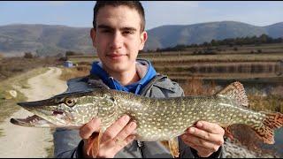 Pecanje stuke na kedera. Fishing pike.