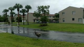 House for sale in Stuart, Martin County Florida