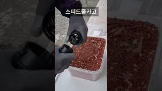 원투 감성돔낚시할 때 쓰는 줄카고채비 세트 플라스틱망 그리고 숙성 밑밥