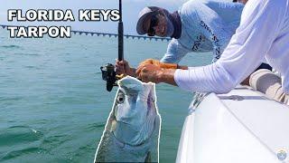 Florida Keys Tarpon Fishing (What It's Like To Charter Fish for Tarpon)