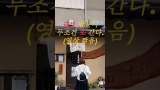 교토여행 극 파워 J 에게 선택받은 맛집 #교토이자카야 #교토현지인맛집 #교토