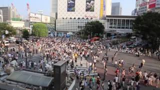 시부야 스크램블 교차로 (Sibuya scramble intersection)