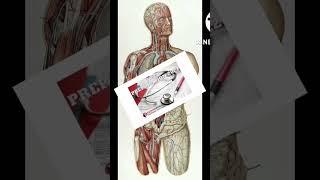 ‍‍neet motivation#short
