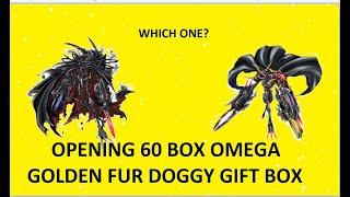 DMO Open 60 Omega Zward D and Alter- B Box (Golden Fur Doggy Gift Box)