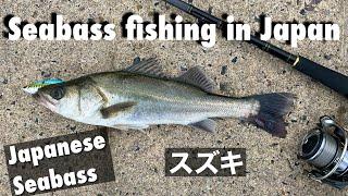 Fishing in Japan for Japanese Seabass シーバス ／ スズキ Light Shore Jigging