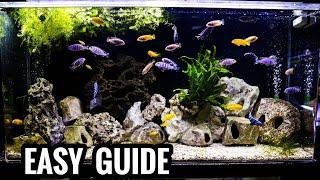 How to Setup an AFRICAN CICHLID Aquarium