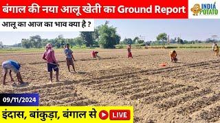  अगेती आलू में बंगाल की किसानों को लाभ होगा ?  Potato Cultivation Method Of West Bengal