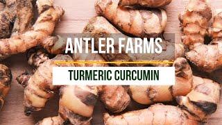 Antler Farms Turmeric Curcumin - Concentrated Curcumin with Enhanced Absorption