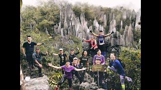 Journey to Mulu Pinnacles - Malaysia's toughest mountain to hike.