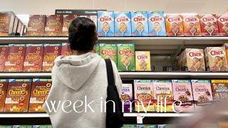 (eng/kor) week in my life vlogㅣgrocery shoppingㅣwalk in the parkㅣmaking tteokbokki