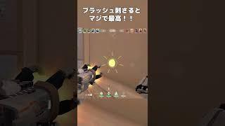 フラッシュ刺さるとマジで最高!! #gameclips #ytapp #skypad #valorant