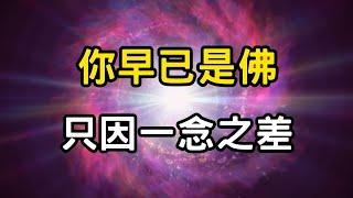你早已是佛！只因一念之差！夢中的你，是誰？從虛幻中醒來的真實之路；你與覺醒之間，其實只有一個念頭的距離 #開悟 #覺醒 #靈性成長