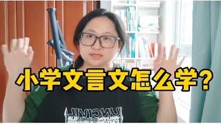 小学生怎么学小古文？菜花老师倾囊相授！赶紧收藏~