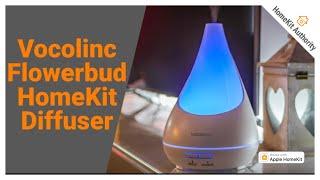 Vocolinc Flowerbud review - Find out about this HomeKit diffuser and humidifier in 1 smart device