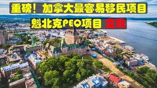 重磅！加拿大最容易移民的项目，魁省PEQ项目变政 详解以及建议