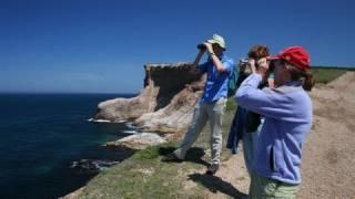 Hiking along the cliffs at Cape St George, Newfoundland