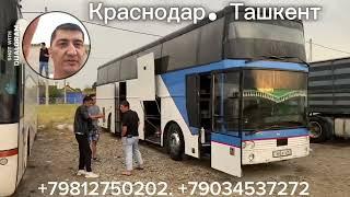 Krasnodar Tashkent#Краснодар. Ташкент автобус#Ростов-на-Дону Ташкент автобус #Сочи Ташкент ￼автобус