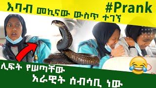 አደገኛ እባብ መኪናው ውስጥ አለ !!! ያበደ ፕራንክ #ethiopian #ethiopianprank #ethiopianfunnyvideos #viral #prank