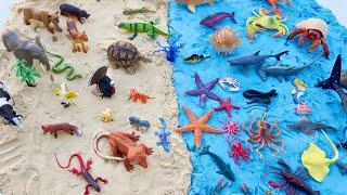 Land Animals Vs  Ocean Animals Toys | Learn Animal Names For Kids