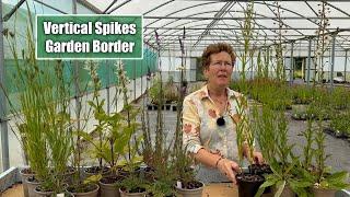 How To Build A Garden Border With Vertical Plants | Single Spikes & Tall Grasses