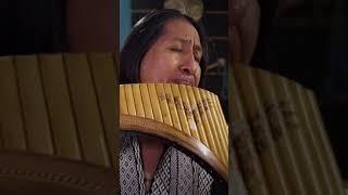 Hallelujah Golden Pan Flute