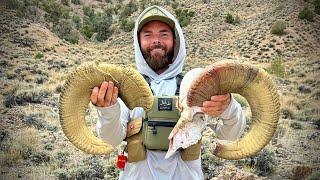 MY BIGGEST DESERT SHEEP RAM! SHEEP GRAND SLAM