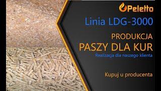 Produkcja paszy granulowanej dla kur, Linia LDG-3000 od Peletto.pl