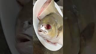 Fresh fish in Australia be likethis fish had sore eyes