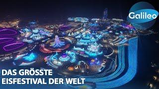 Ein Märchenland ganz in Weiß: Das größte Eisfestival der Welt