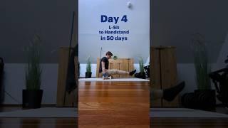 Learning the L-Sit to Handstand in 50 Days | Day 4/50 #calisthenics