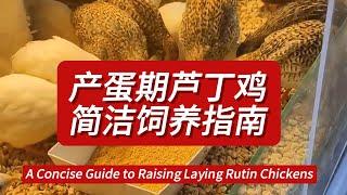 #产蛋 期 #芦丁鸡 饲养指南 A Concise Guide to Raising Laying #Rutin #minichicken